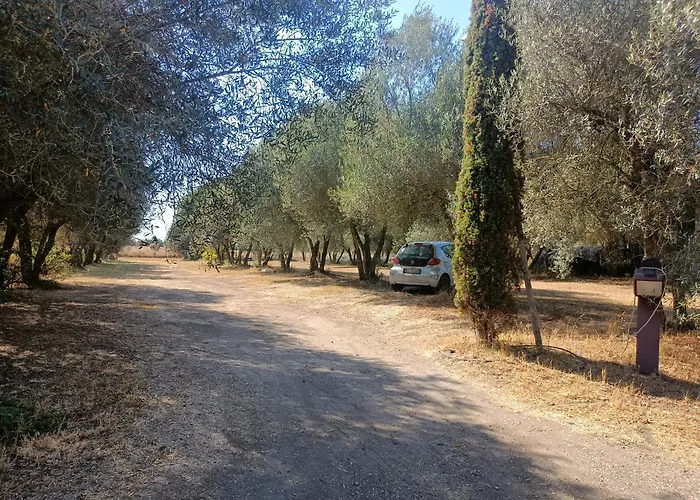  Il Giardino Nell'Orto